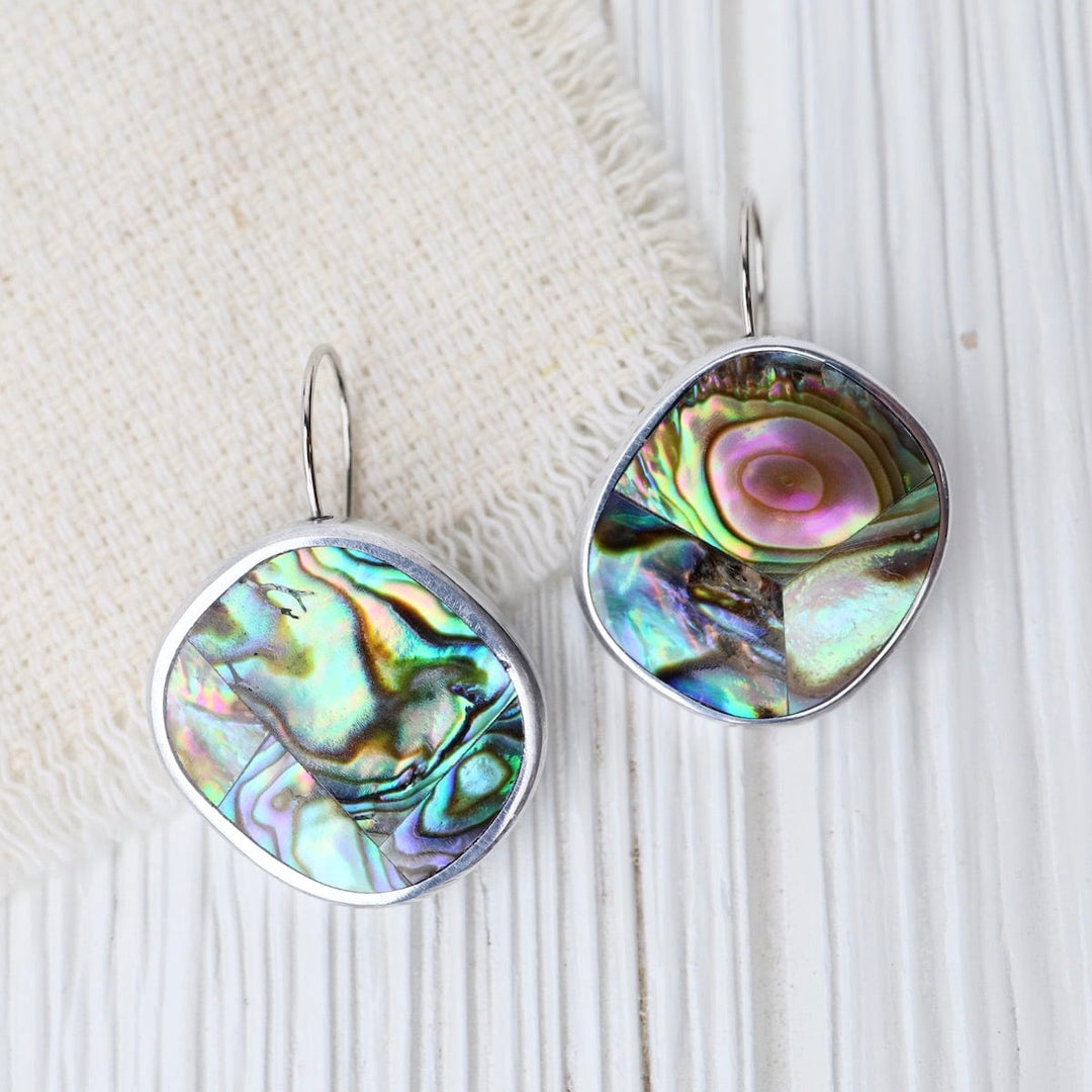 Paua Kidney Resin Earrings